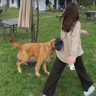 极度智能