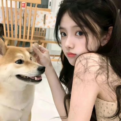 好莱坞骑士